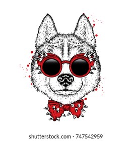 A beautiful dog with glasses and a bow tie. Vector illustration. Purebred puppy in clothes and accessories. Husky.