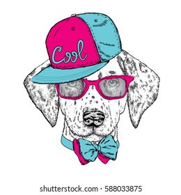Beautiful dog with glasses, cap and tie. Vector illustration. Cute Dalmatians. Puppy.