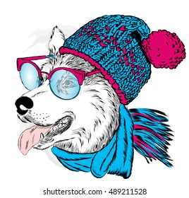 Beautiful dog with glasses, scarves and hats. Vector illustration for greeting card, poster, or print on clothes. Fashion & Style. Winter. Husky.