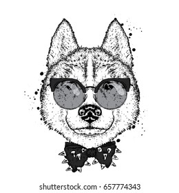 A beautiful dog with glasses and a tie. Vector illustration for a postcard or poster, print on clothes. Purebred puppy. Husky or wolf.