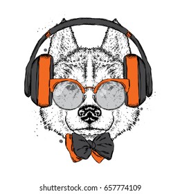 A beautiful dog with headphones, glasses and a tie. Vector illustration for a postcard or poster, print on clothes. Purebred puppy. Husky or wolf.