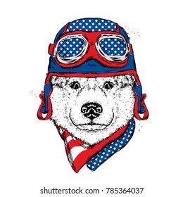 A beautiful dog in a helmet and scarf. A pedigreed puppy in the clothes of a rider or pilot. Husky. Vector illustration for a postcard or a poster, print on clothes or a cover.