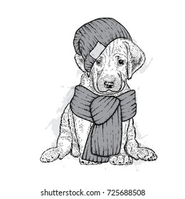 A beautiful dog in a knitted hat and scarf. Cute puppy. Vector illustration for a postcard or a poster, print for clothes.