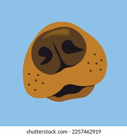 beautiful dog nose illustration in brown color