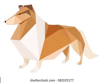 Beautiful Dog Rough Collie isolated on white background.  Vector illustration
