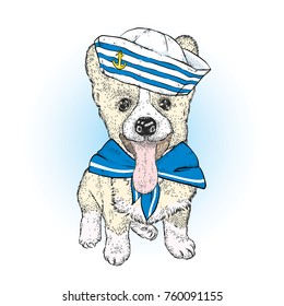 A beautiful dog in sailor clothes. Vector illustration. Animal in clothes and accessories. A sailor in a cap and tie. Purebred puppy.