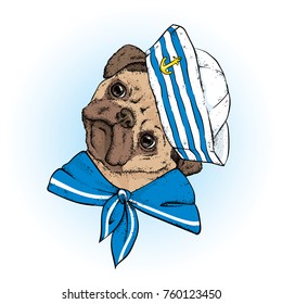 A beautiful dog in sailor clothes. Vector illustration. Animal in clothes and accessories. A sailor in a cap and tie. Purebred puppy.