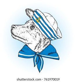 A beautiful dog in sailor clothes. Vector illustration. Animal in clothes and accessories. A sailor in a cap and tie. Purebred puppy.