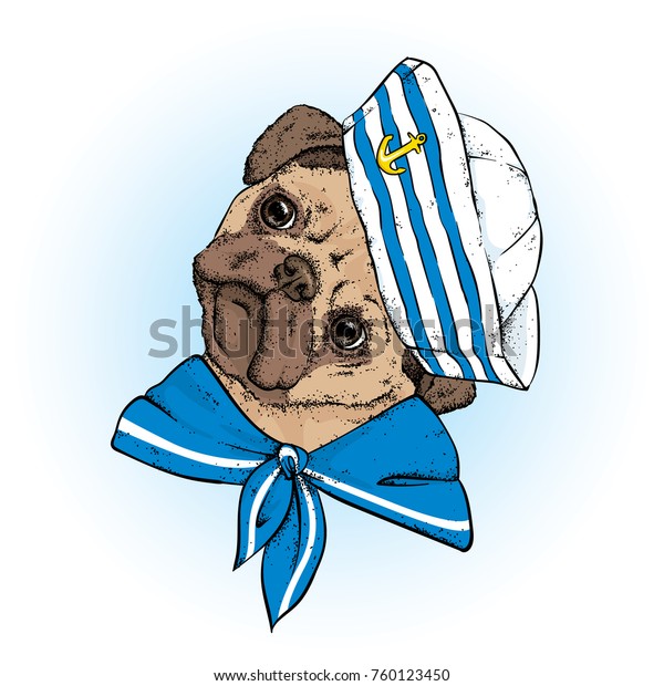 船乗り服を着た美しい犬 ベクターイラスト 服とアクセサリーを身に着けた動物 帽子とネクタイの水夫 純血種の子犬 のベクター画像素材 ロイヤリティフリー