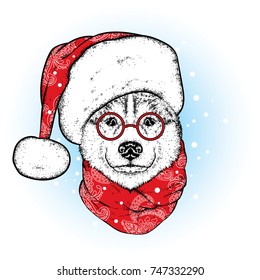 A beautiful dog in Santa's hat and scarf. Antler. Vector illustration. Purebred puppy in clothes and accessories. Husky or wolf. New Year's and Christmas. Santa Claus.