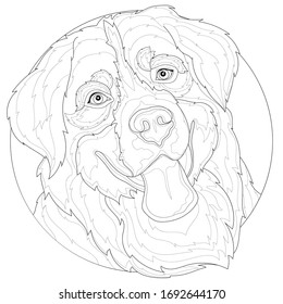 Beautiful dog shows tongue.Bernese Mountain Dog.Coloring book antistress for children and adults. Zen-tangle style.Black and white drawing