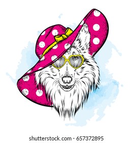 A beautiful dog in a summer hat and glasses. Collie. Purebred puppy. Vector illustration for a postcard or a poster, print for clothes. Fashion & Style.