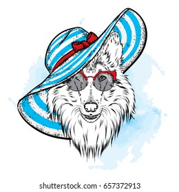 A beautiful dog in a summer hat and glasses. Collie. Purebred puppy. Vector illustration for a postcard or a poster, print for clothes. Fashion & Style.