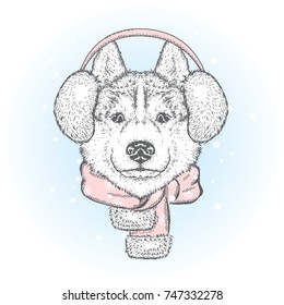 Beautiful dog in winter headphones and scarf. Vector illustration. Purebred puppy in clothes and accessories. Husky or wolf. New Year's and Christmas.