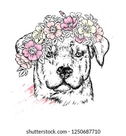 A beautiful dog in a wreath of wild rose. Vector illustration for postcard or poster, print for clothes. Spring and summer, a bouquet of flowers. Vintage and retro. Hipster. Cute puppy.