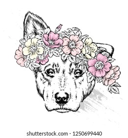 A beautiful dog in a wreath of wild rose. Vector illustration for postcard or poster, print for clothes. Spring and summer, a bouquet of flowers. Vintage and retro. Hipster. Cute puppy.