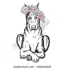 A beautiful dog in a wreath of wild rose. Vector illustration for postcard or poster, print for clothes. Spring and summer, a bouquet of flowers. Vintage and retro. Hipster. Cute puppy.