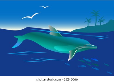 A beautiful dolphin