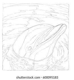 beautiful dolphins line art continuous line drawing 