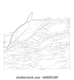 beautiful dolphins line art continuous line drawing 