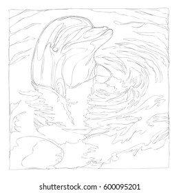 beautiful dolphins line art continuous line drawing 