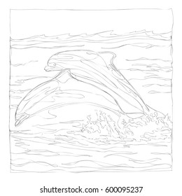 beautiful dolphins line art continuous line drawing 