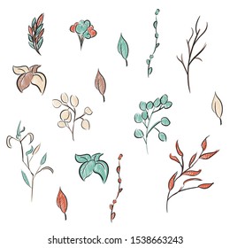 Beautiful doodle fall leaf branches, great design for any purposes. Vector natural illustration. Season set. Botanical drawing. Colorful nature background. Floral ornament.