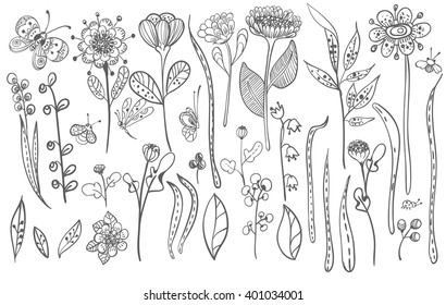 Beautiful doodle grass and flowers silhouette, natural collection, Vector