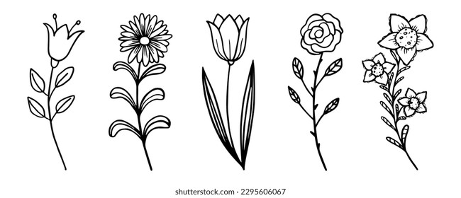 Beautiful doodle set with elegant hand drawn flowers. Great for wedding decoration, design, packaging, banners or advertising. Vector illustration EPS10. Isolated on white background