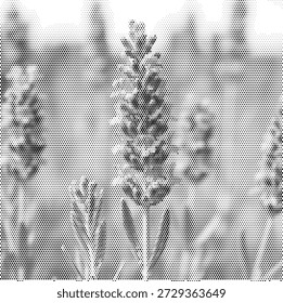 Una hermosa ilustración de patrón de puntos que muestra ramitas de lavanda que crecen en un jardín natural. Este diseño representa relajación, medicina botánica y bienestar al aire libre. Perfecto para la marca del centro de jardinería, etiquetas de productos de salud y folletos de aromaterapia. La textura semitono resalta los densos brotes florales y los subgrupos orgánicos de manera realista. Vector de alta calidad para una marca y decoración fresca y profesional con temas de naturaleza.