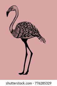 Beautiful dotwork flamingo. Isolated on pink background