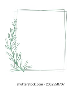 Beautiful double rectangular frame with a graceful  branch with sheets, vector illustration. Botanical template for congratulations or invitations. Hand drawn graphics, natural contour with leaves.