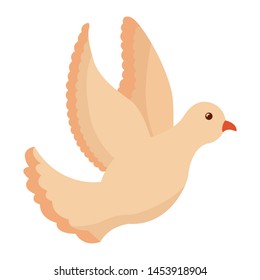 beautiful dove bird flying icon vector illustration design