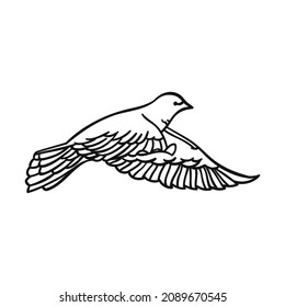 Beautiful dove in a linear style on a white background. Side view. For design and illustration. Vector illustration.