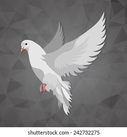 beautiful dove on geometrical background