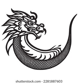 a beautiful dragon vector art