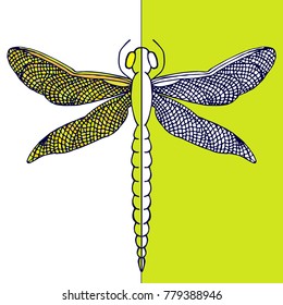 Beautiful dragonfly with colorful wings.Contrast card. Hand drawn vector illustration.