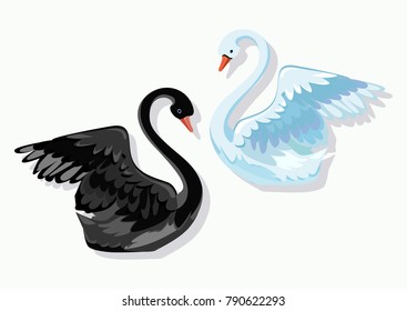 Beautiful drawing swan vector.  