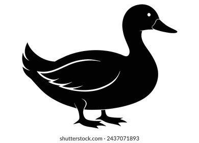 A beautiful duck  Portrait  vector illustration artwork 