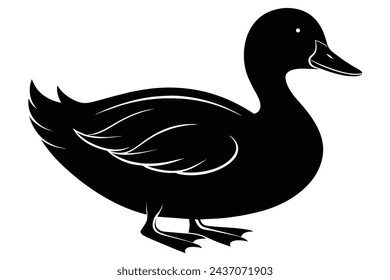 A beautiful duck  Portrait  vector illustration artwork 