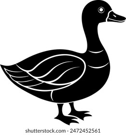        Beautiful duck silhouette vector illustration.

