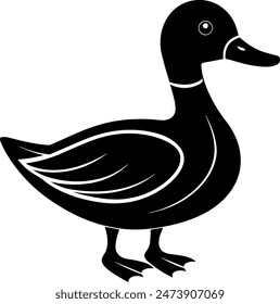        Beautiful duck silhouette vector illustration.
