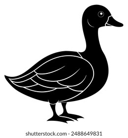        Beautiful duck silhouette vector illustration.
