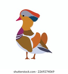 a beautiful duck vector trecing art