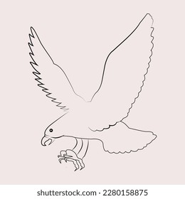 A beautiful eagle bird line art