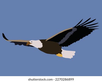 A beautiful eagle bird-vector trecing- art