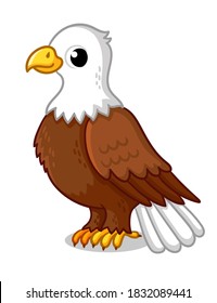 Beautiful eagle in cartoon style on a white background. Vector illustration with a cute bird.