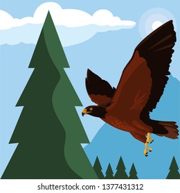 beautiful eagle flying in the landscape majestic bird