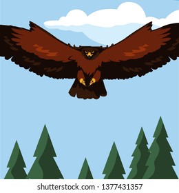 beautiful eagle flying in the landscape majestic bird
