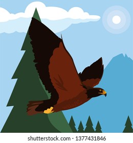 beautiful eagle flying in the landscape majestic bird